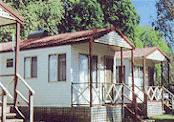 Pic3