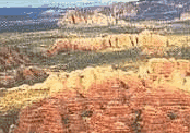 Pic7
